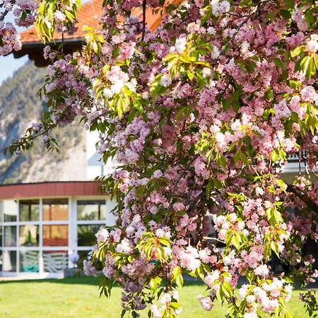 Pensionat Gaestehaus Gerti