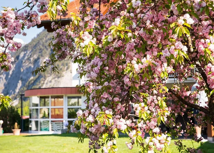 Affittacamere Gaestehaus Gerti