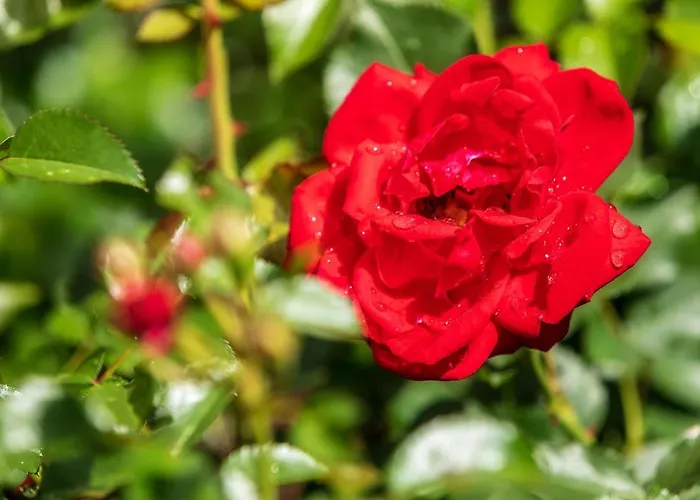 Affittacamere Gaestehaus Gerti 3*