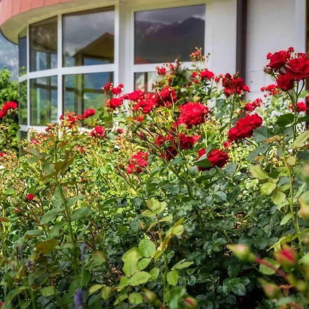 Pensjonat Gaestehaus Gerti