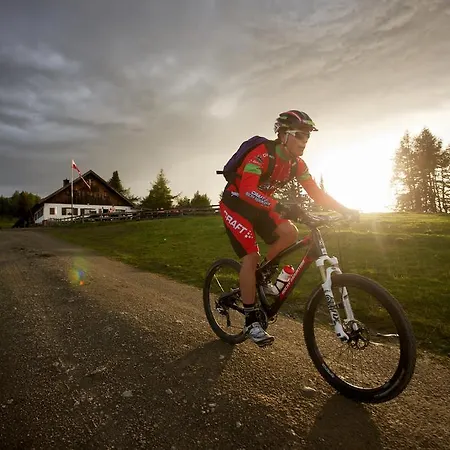 Gerti Gasthof *